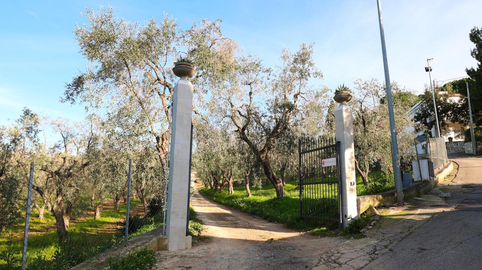 I Frangiventi Bed & Breakfast Rodi Garganico Luaran gambar