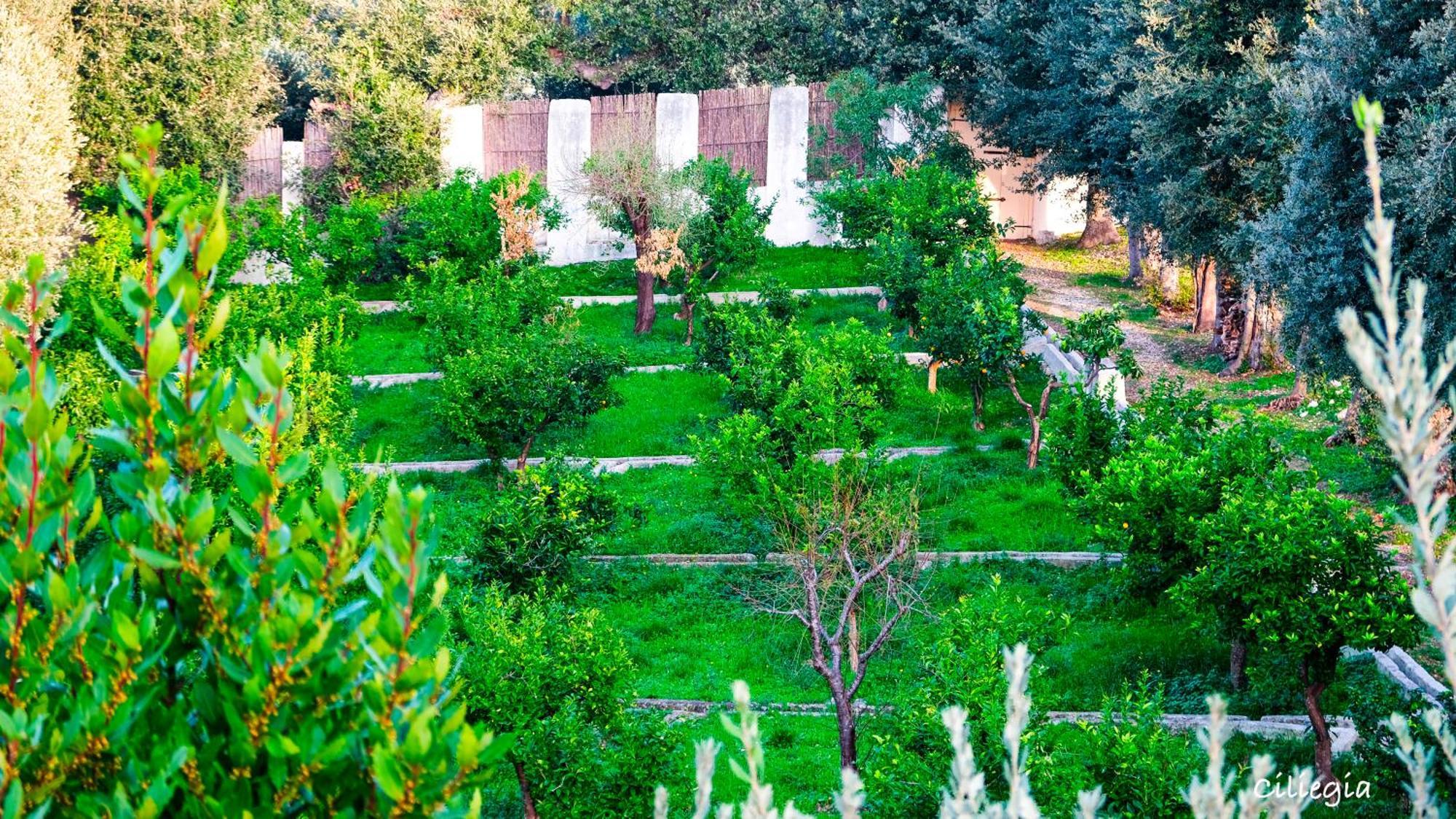 I Frangiventi Bed & Breakfast Rodi Garganico Luaran gambar