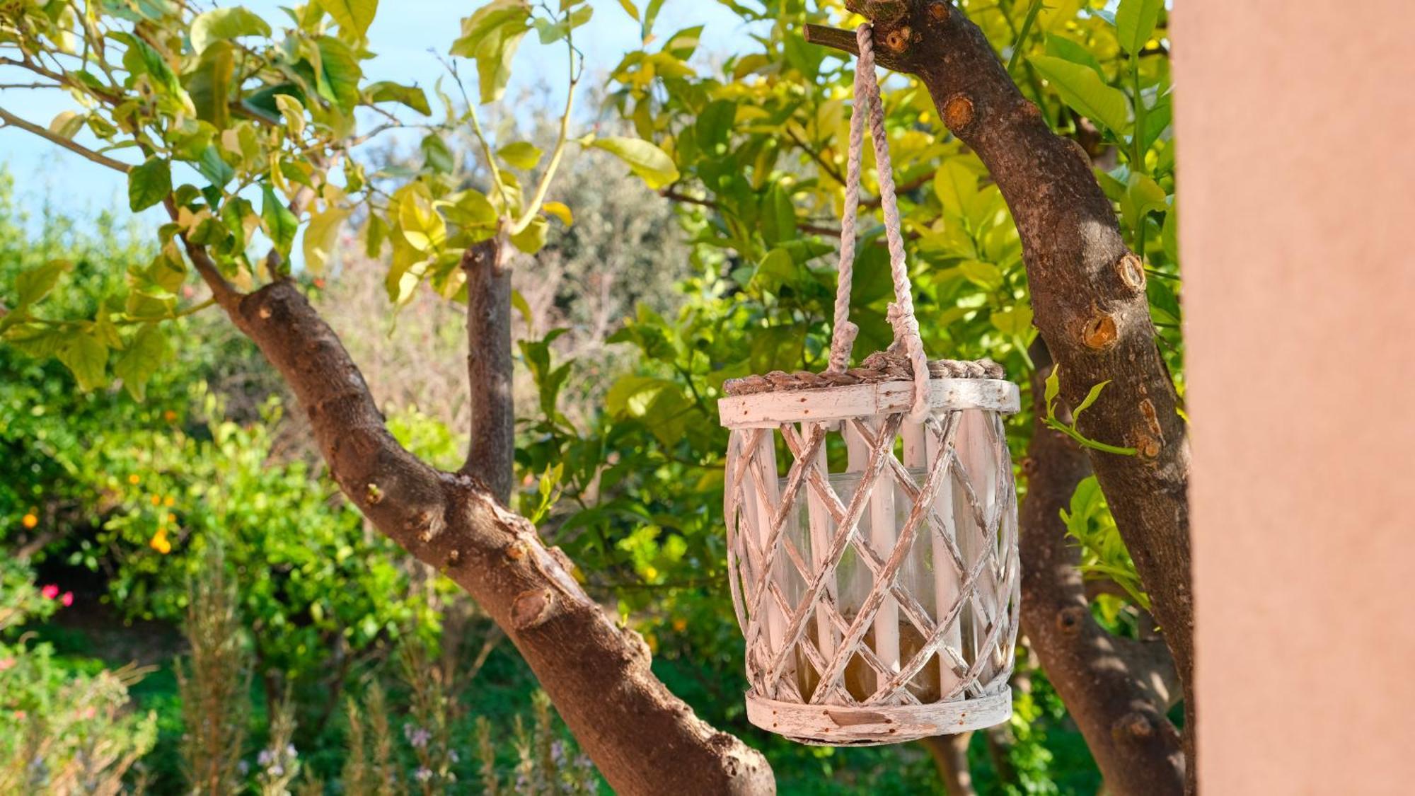 I Frangiventi Bed & Breakfast Rodi Garganico Luaran gambar